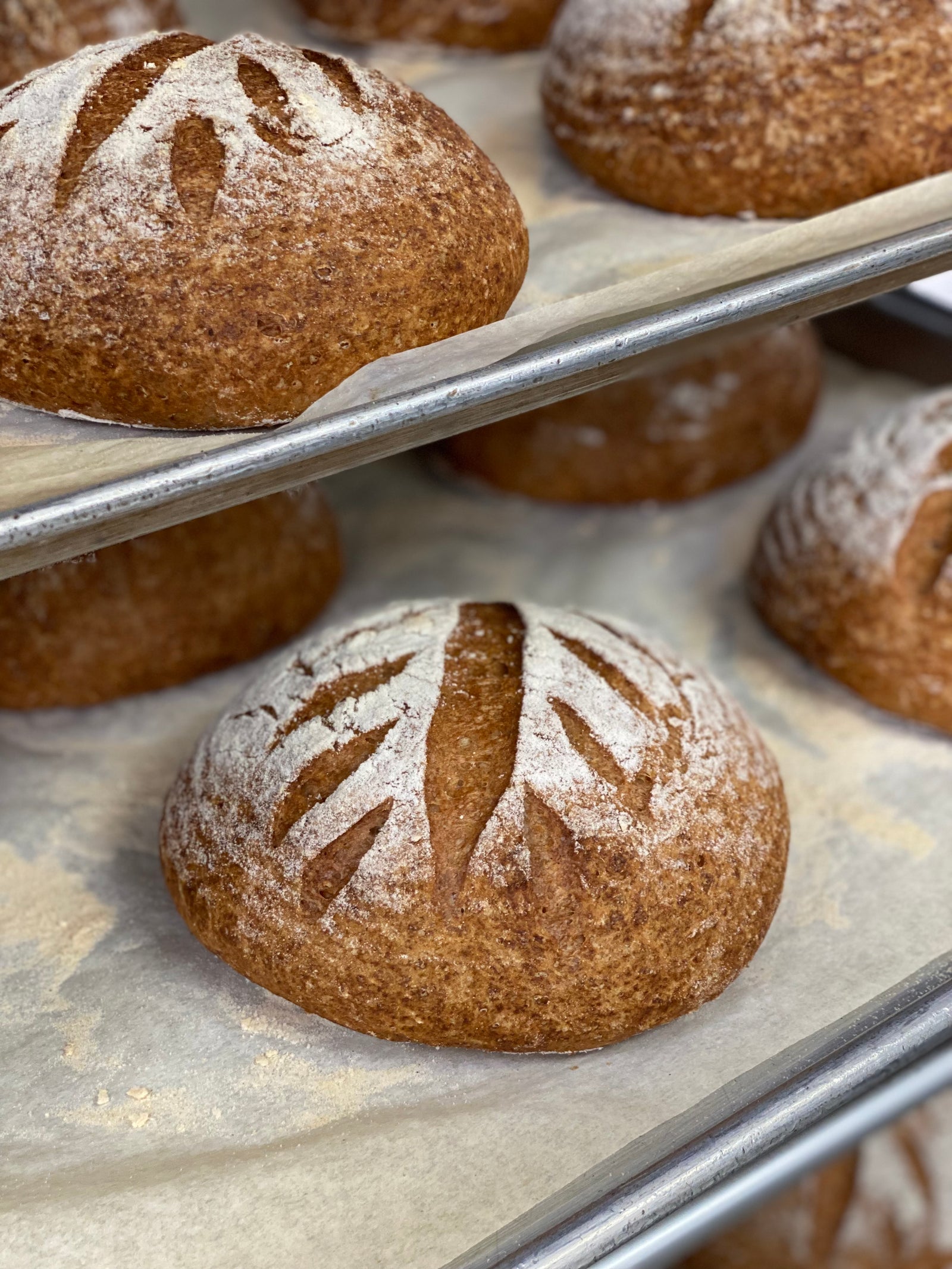 Gluten Free Rustic Loaf (Pre-order)