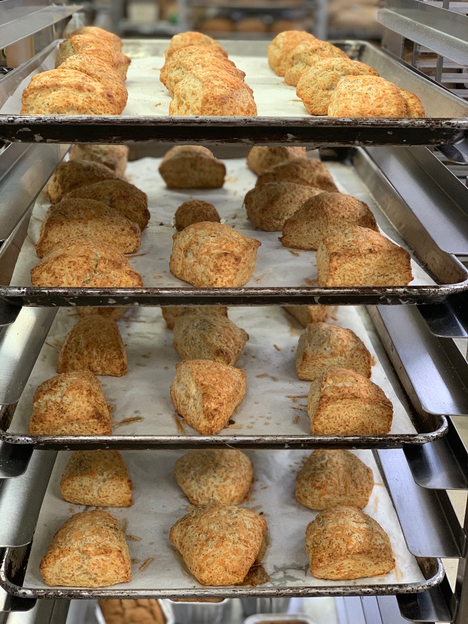 Scone - Parmesan & Black Pepper