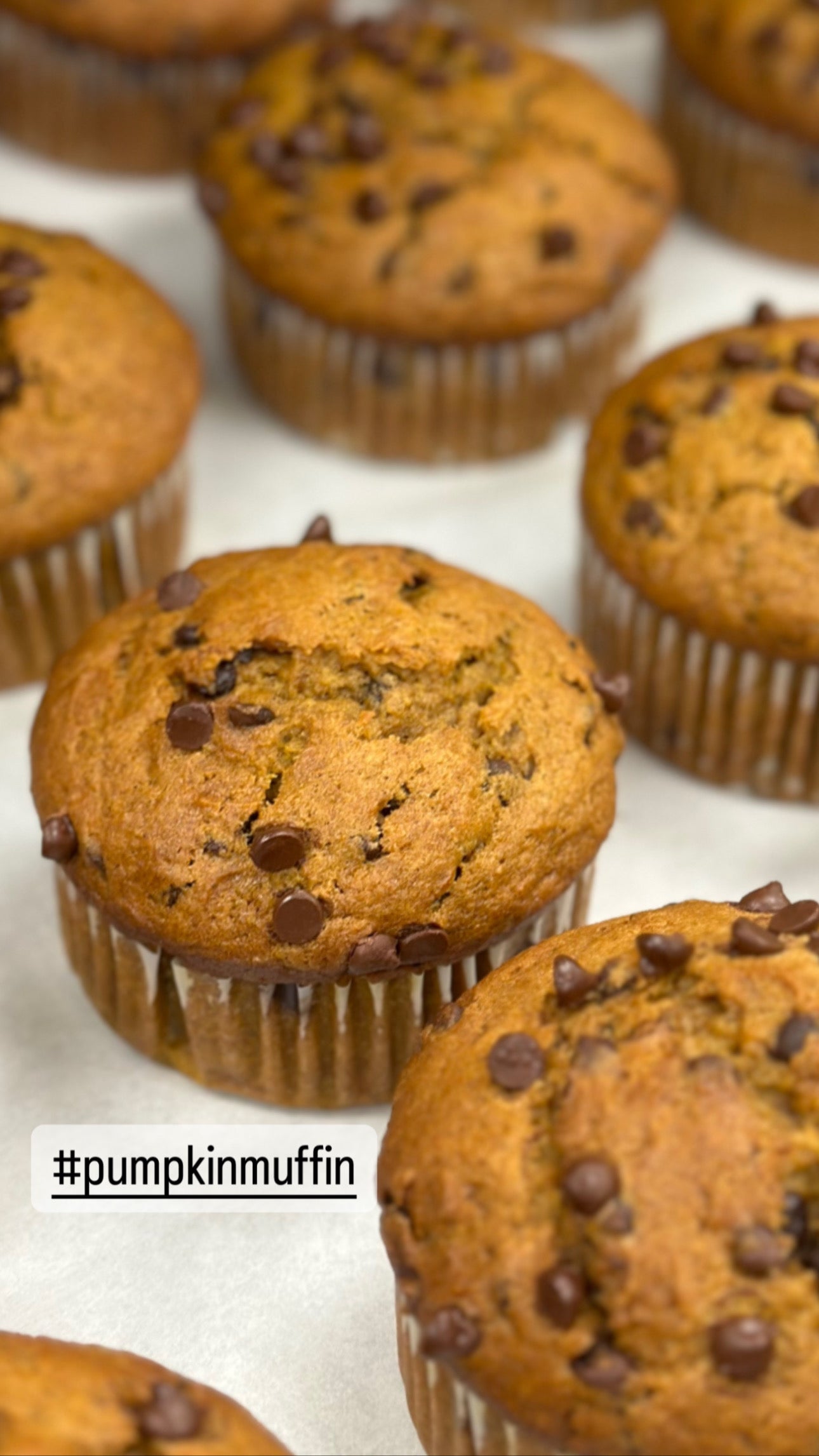 Giant Pumpkin Chocolate Muffin