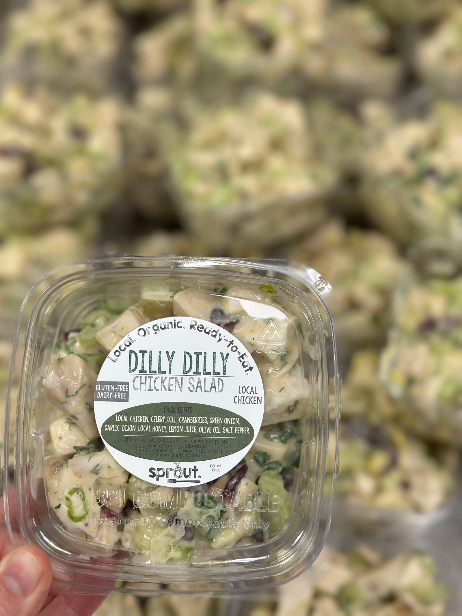 Chicken Salad - Dilly Dilly (GF) (DF)