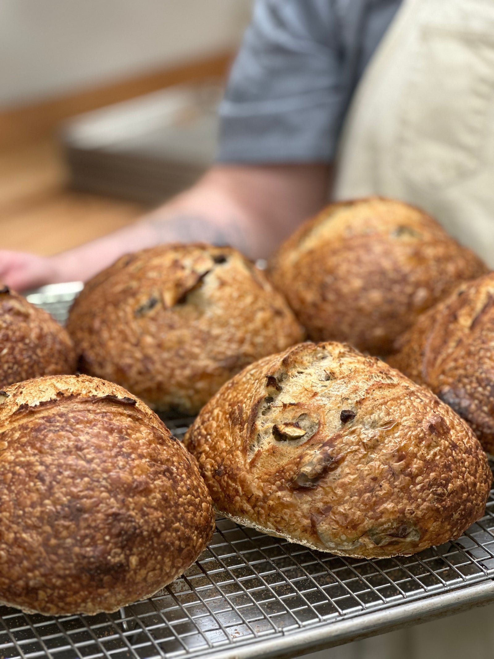 Sourdough - Dill Pickle (V)