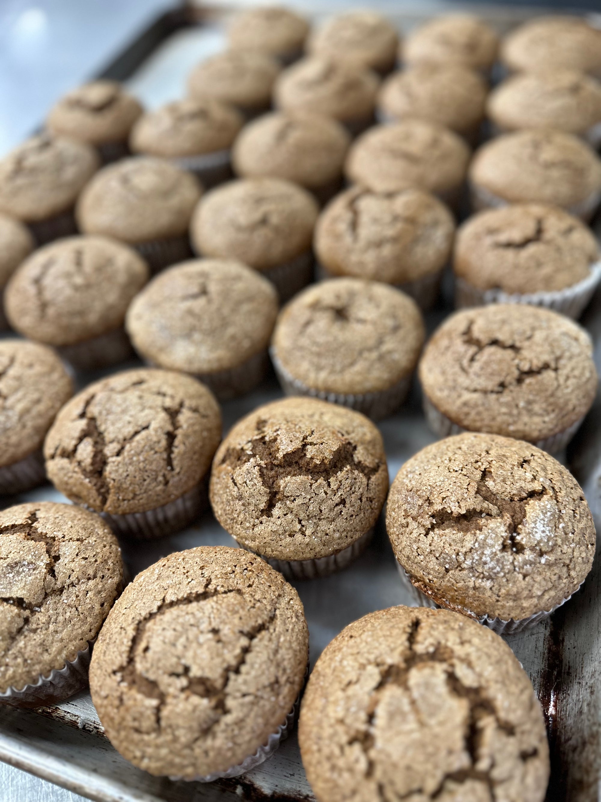 GF Gingerbread Muffin