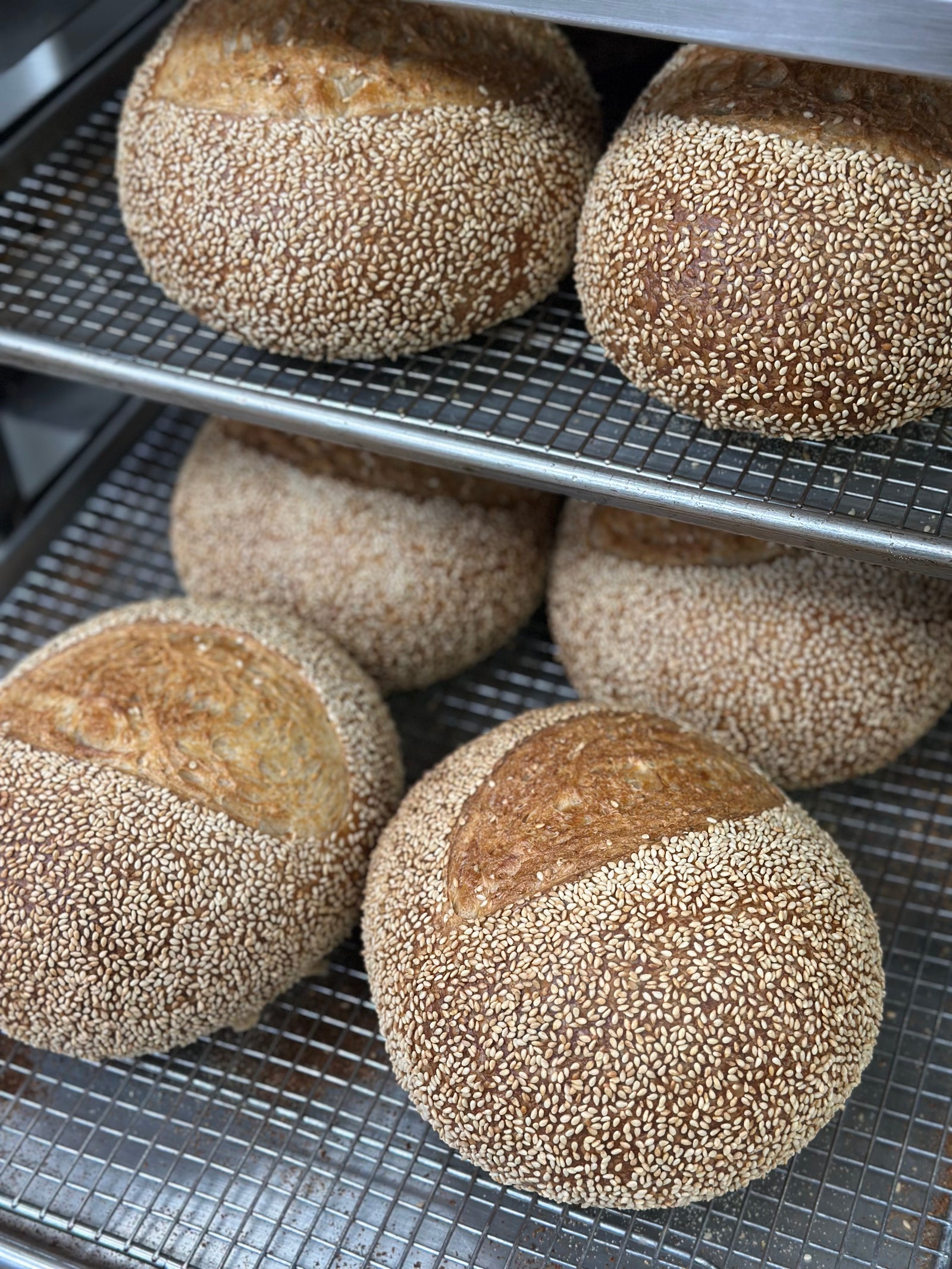 Sourdough - Toasted Sesame & Tahini