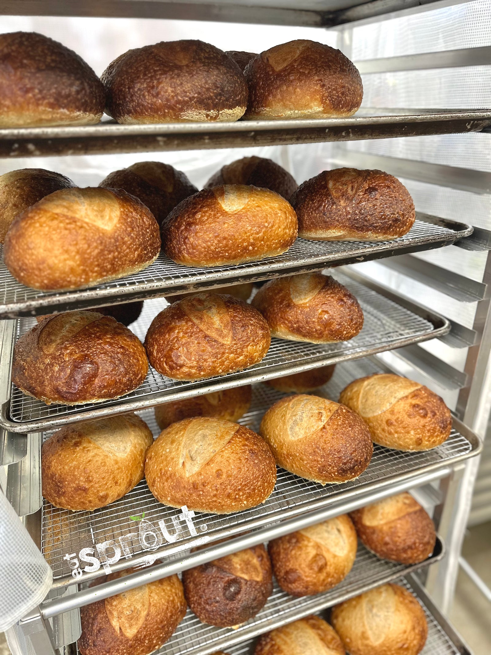 Sourdough - Traditional (V)