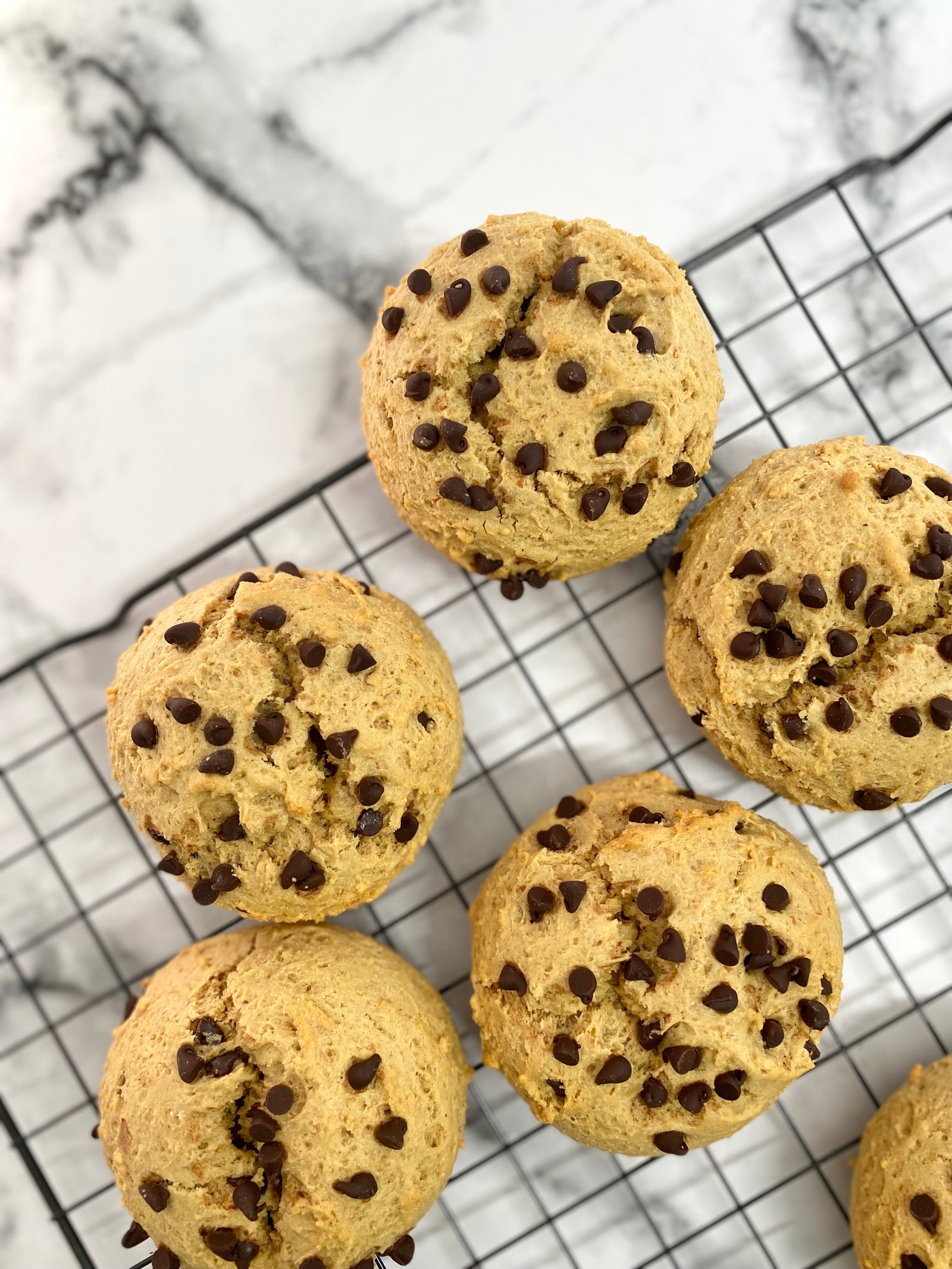 Protein Cookie - Dino Dumbbell (GF)